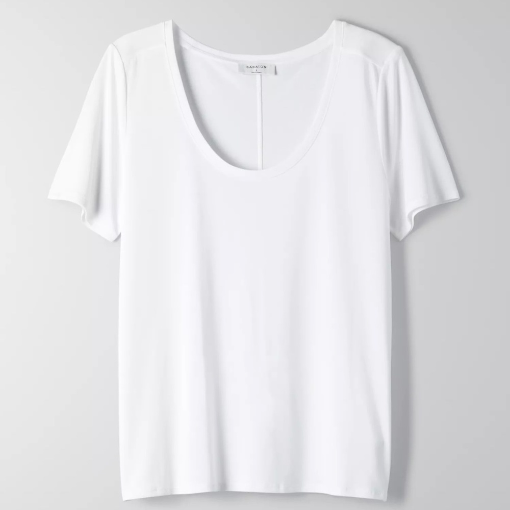 Aritzia Babaton Sami T-Shirt